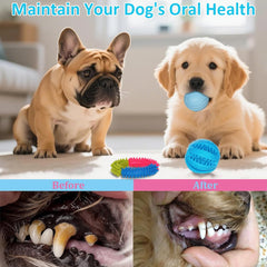 PawsAion rubber toothbrush bone toy with soft spikes for gum massage.