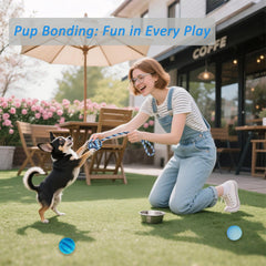 PawsAion tug-of-war toy supports exercise and training focus.