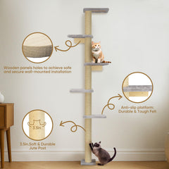 PAWSCRAT easy-install mounting hardware for quick setup and stability