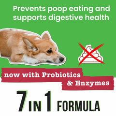 Pawsential No Poo Chews dog enjoying chew that supports digestion