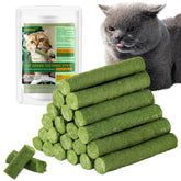 PawsGear Cat Grass Teething Stick front view highlights natural chew for dental care