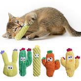 Pawsible catnip cactus toy collection displays vibrant five-pack for engaging indoor play.