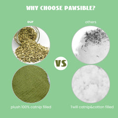 Pawsible Ravioli catnip toy interaction shot encourages pouncing and chasing in living rooms.