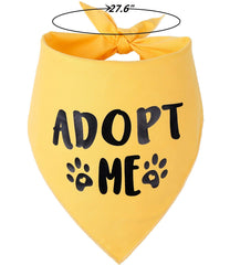 Pawskido Adopt Me Bandana triangular design on dog's neck.