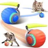 PawsomeFinds 2-Pack Interactive Cat Toy package showing two color variants for versatile play
