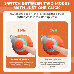 PawsomeFinds Speedy Tail Ball feather tails for engaging chase moments