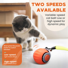 PawsomeFinds Speedy Tail Ball orange-blue side view with motion