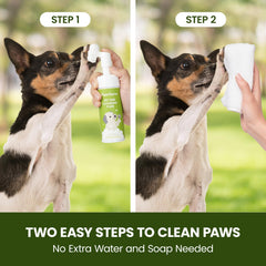 Paw Sono dog paw cleaning closeup shows foam application and gentle massage.