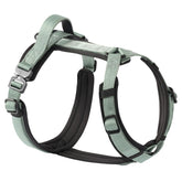 PAWS PASSION PawsPassion Seabreeze XL front view shows secure fit for energetic large dogs.