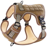 PAWS PASSION no pull harness front clip for gentle training and control