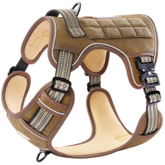 PAWS PASSION no pull harness front clip for gentle training and control