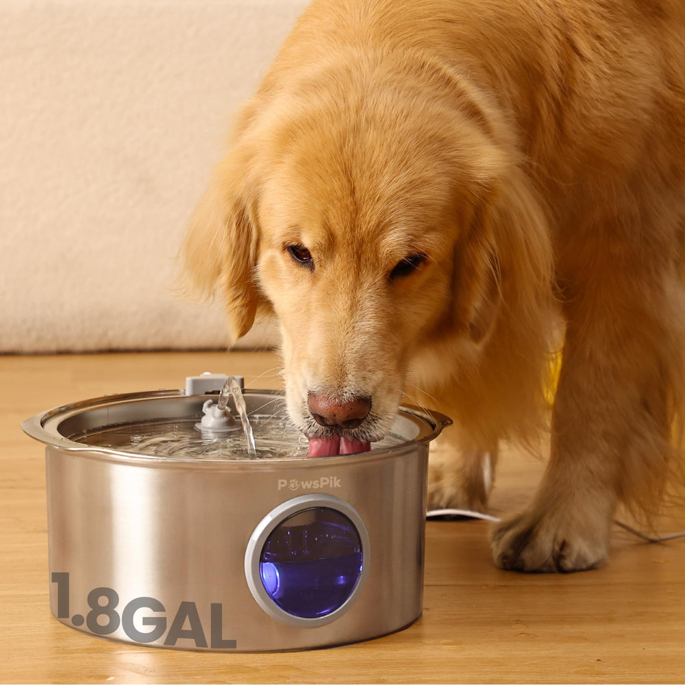PAWSPIK PawsPik ultra-quiet fountain front view shows durable stainless steel for large dogs