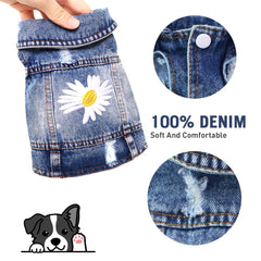 Pawstrip vintage denim jacket with ripped detailing adds edgy charm for small breeds.