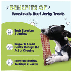 Pawstruck: enfoque en articulaciones con glucosamina y condroitina para movilidad.