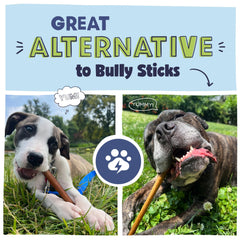 Pawstruck collagen stick pack shot featuring multiple sticks in a bag