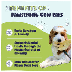 Pawstruck cow ears thick-cut chew offers satisfying bite for hours of canine engagement