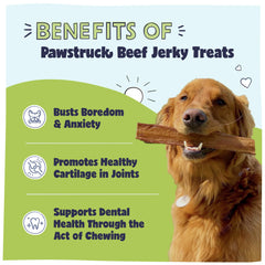 Pawstruck dog-chew time 10inch strips for long-lasting chew sessions