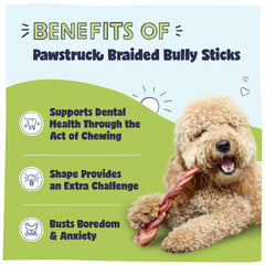 Pawstruck rawhide-free dog chew with natural beef flavor for dental-friendly fun.