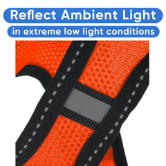 Pawtitas breathable air mesh material for cool, comfortable outings