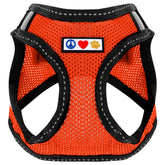 Pawtitas dog vest harness back view shows secure fit for extra small dogs