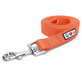 Pawtitas orange dog leash 6ft offers confident control on long walks