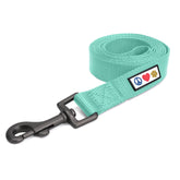 Pawtitas solid 6ft teal dog leash with embroidery for quick ID.