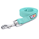 Pawtitas Teal Dog Leash 6 ft XS/S with reflective design for small dogs