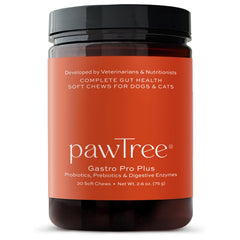 pawTree Gastro Pro Plus bottle front highlighting probiotic formula for digestive support.