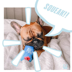 Pawty Dog Toys Furji parody drink toy with playful design