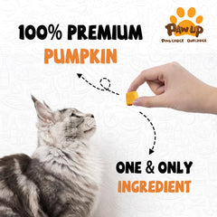 PAWUP Freeze-Dried Pumpkin Treats whole piece on wooden surface emphasizing single-ingredient pumpkin