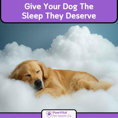 Soft-textured PawVital chews with real chicken ingredients look appealing to picky eaters.