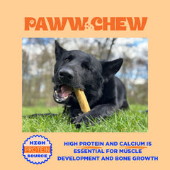 PAWW CHEW packaging image highlights natural ingredients and Himalayan sourcing