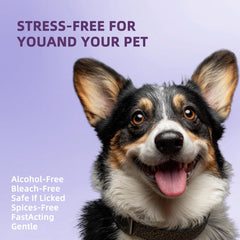 Pawyoo mint-fresh-breath wipes deliver a refreshing post-use feel.