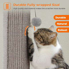 PAWZ Road base detail highlights stable 15.7x15.7 inch footprint for upright use.