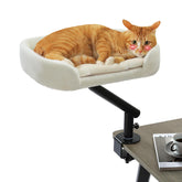 PAWZ Road cat desk bed setup on a white desk offers space-saving comfort.