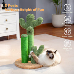 PAWZ Road cactus height-range showing varied heights for kittens to adults.