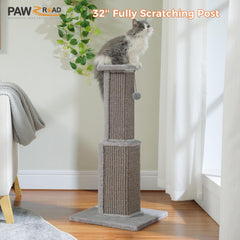 PAWZ Road dangling ball feature adds interactive play to encourage active exercise.