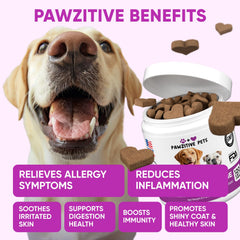 Pawzitive Pets dog allergy chews close-up highlighting omega 3 formula