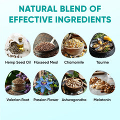 Pawzitive Pets hemp calming chews dog relaxed on floor during calm moment