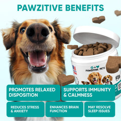 Pawzitive Pets hemp calming chews soft treats closeup with chewy texture