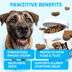 Pawzitive Pets made-in-USA bottle emphasizes trusted sourcing and quality.
