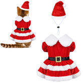 PAYHTOW cat Christmas dress with Santa hat on a cute cat for festive holiday photos.