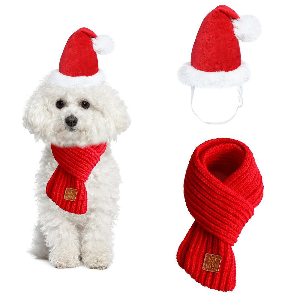 PAYHTOW dog Santa hat on a small dog for festive holiday photos.