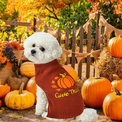 PAYHTOW medium model wearing sweater shows easy-fit design