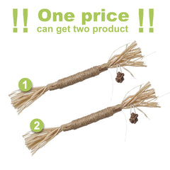 PAZ'S GIFT catnip toy kitten playing to spark curiosity and activity.