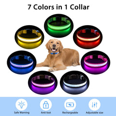 PcEoTllar durable adjustable dog collar with quick-release buckle.