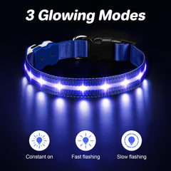 PcEoTllar light up dog collar blue side view demonstrates continuous glow for low-light safety.