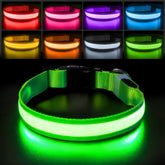 PcEoTllar LED dog collar showing colorful RGB glow for enhanced nighttime visibility