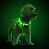 PcEoTllar LED Dog Harness in green on-dog side view, showcasing 360° visibility for safer walks.