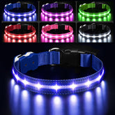 PcEoTllar light up dog collar blue front view highlights night visibility for safety.